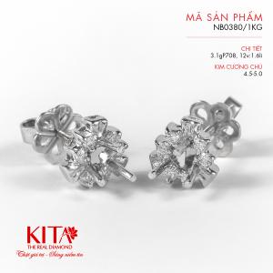 Vỏ Bông Tai Kim Cương